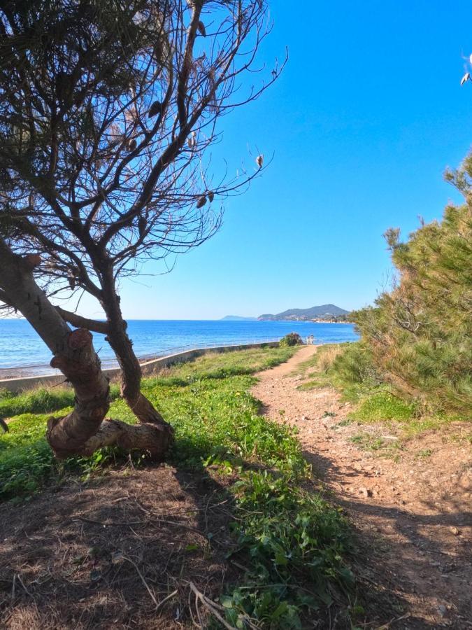 Appartement Hyeres - Costebelle Duplex Vue Mer Balcon Residence Privee Parking - Marie Caroline Esterno foto